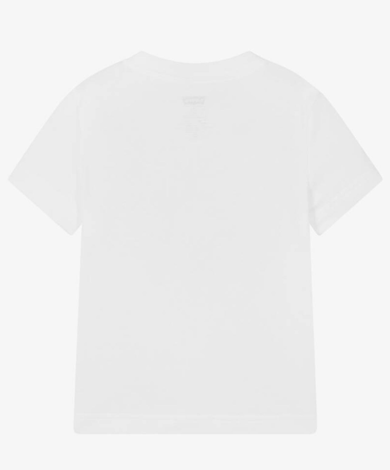 Levi’s | Boy Landscape Tee