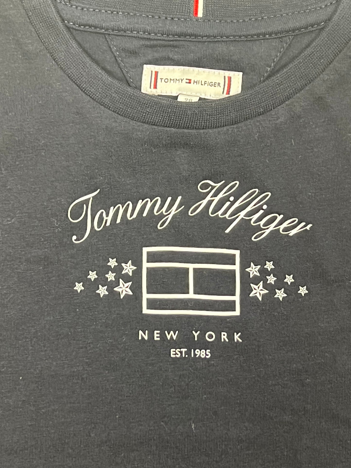 Tommy Hilfiger | Logo Print Tee Desert Sky