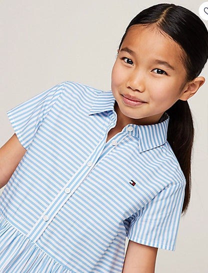 Tommy Hilfiger Ithaca Stripe Dress