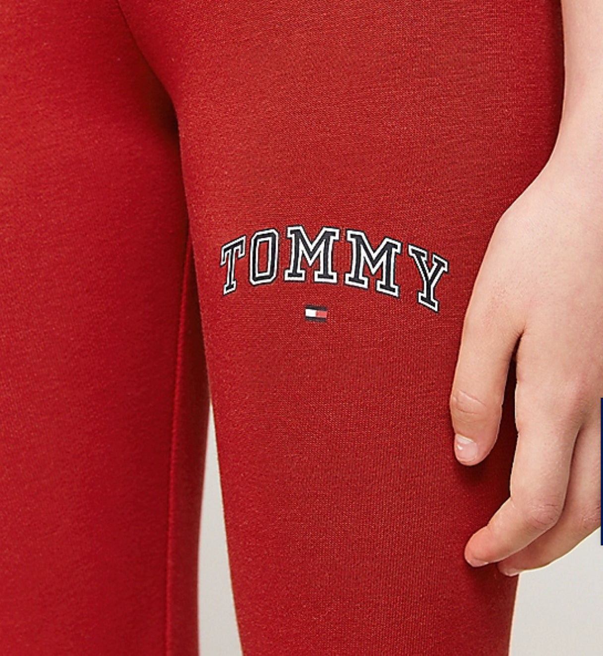 Tommy Hilfiger | Varsity Leggings