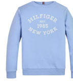 Tommy Hilfiger | Crew Neck Sweater Vessel Blue