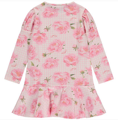 A* Dee | Aubree | Peony Print Dress
