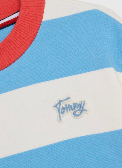 Tommy Hilfiger Colour-Blocked Stripe Sweater